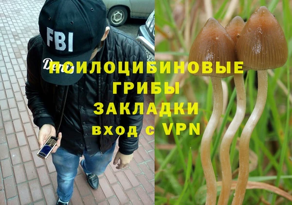 мдма Новодвинск