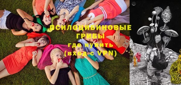 герыч Новокубанск