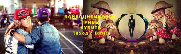 трава Шали