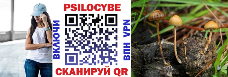 Псилоцибиновые грибы прущие грибы  где купить   Смоленск 